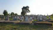 Friedhof 2014