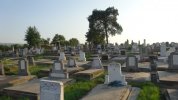 Friedhof 2014