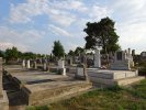 Friedhof 2015