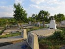 Friedhof 2015