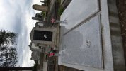 Friedhof 2017