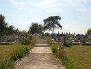 Friedhof -23.08.19