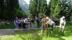 Wildentalhütte 18-20.07.2014