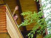 Hüttentreff  im Kleinwalsertal 01.07-03.07.16