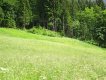 Hüttentreff  im Kleinwalsertal 01.07-03.07.16