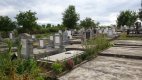 Friedhof 2017