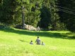 Wildentalhütte 13.07-15.07.18